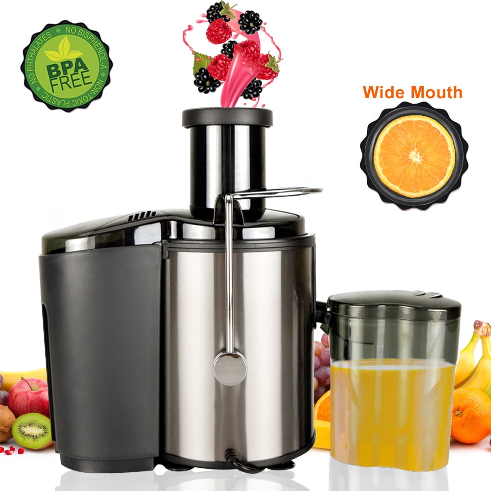 BAYUELSWU Juicer Machines, Masticating Juicer 800W Home Use Multi-func