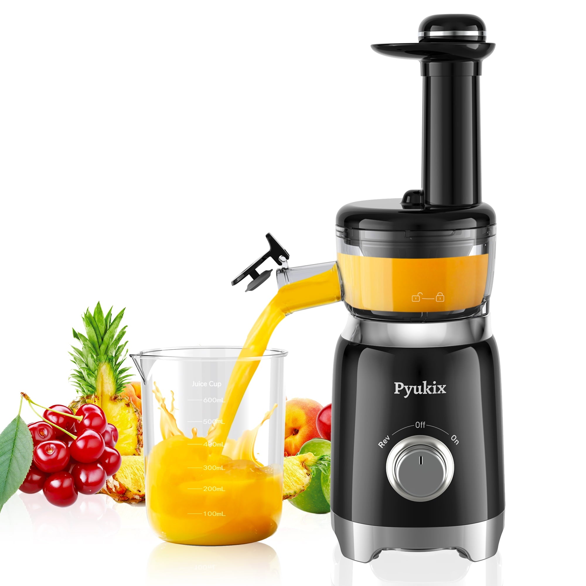 Pyukix Masticating Juicer for Fruits and Vegetables, Powerful Small Ju