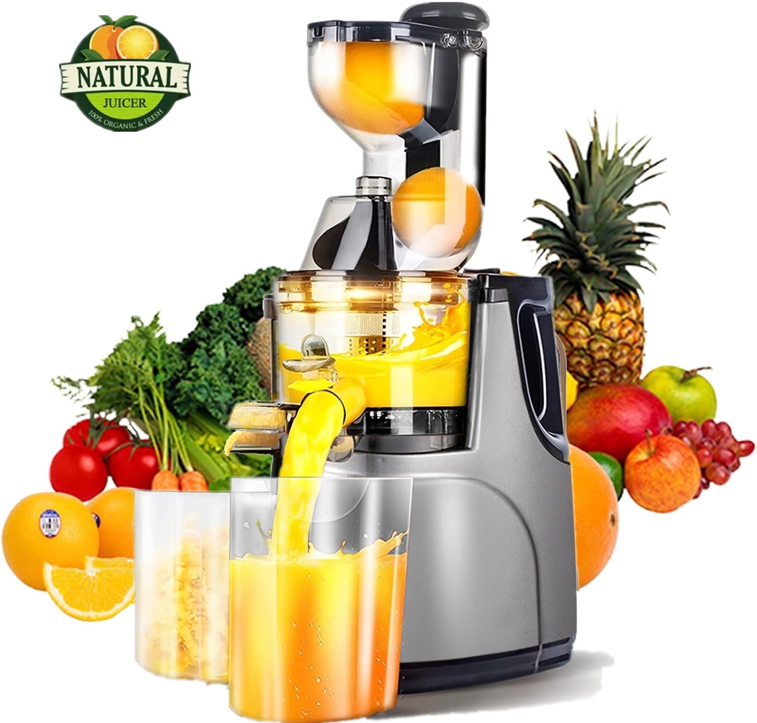 Juicer Machine, Cold Press Juicer with Big Wide Chute, Juice Maker Mas