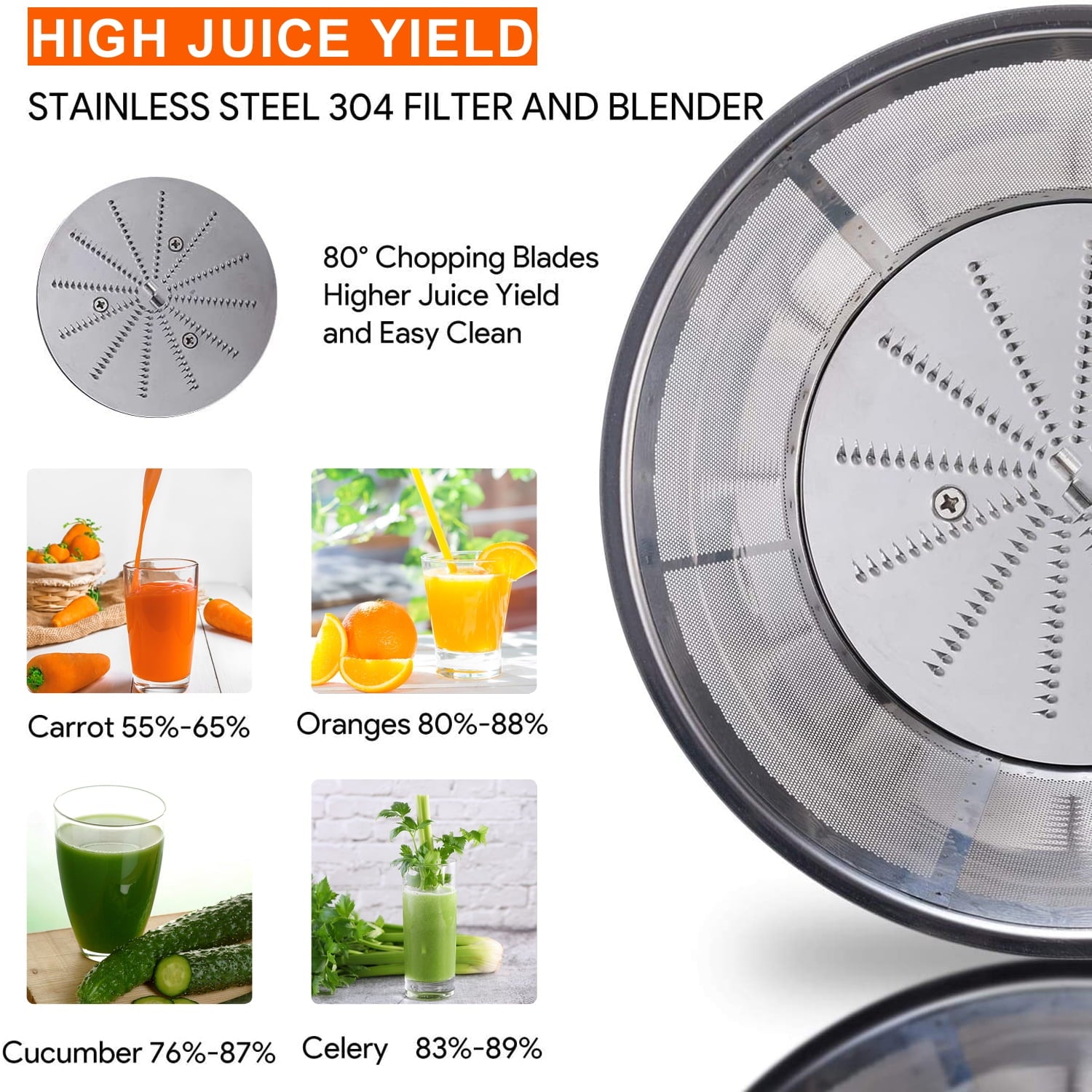 BAYUELSWU Juicer Machines, Masticating Juicer 800W Home Use Multi-func