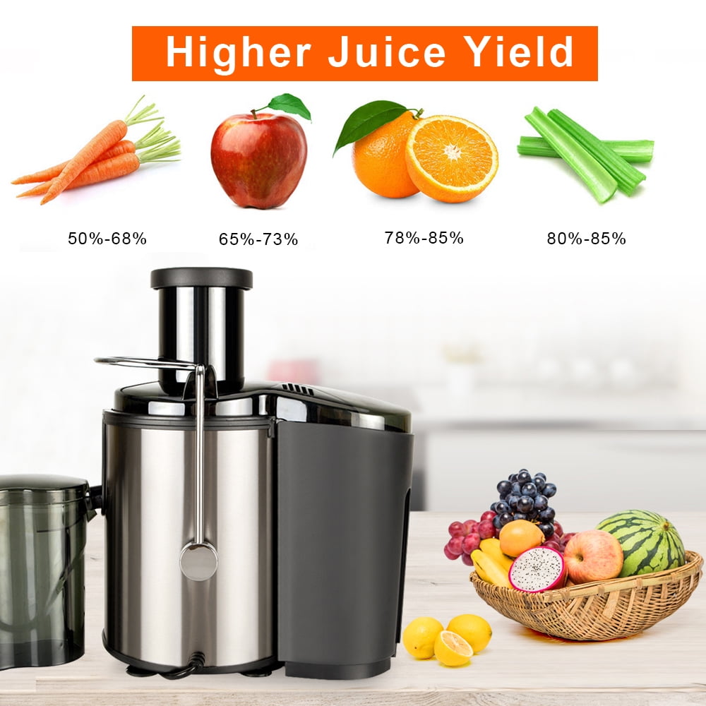 BAYUELSWU Juicer Machines, Masticating Juicer 800W Home Use Multi-func